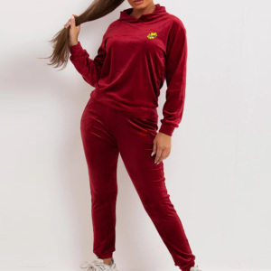 Femmes décontracté 100% coton automne hiver 2 pièces tricot brodé survêtement solide motif culture sweats à capuche pantalon velours - Product Image 2
