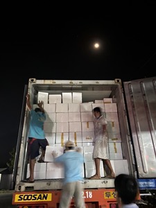 Nueva cosecha 2024-CASSAVA ENTERA CONGELADA/YUCA/ TAPIOCA-de VIET NAM - Product Image 6