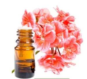 Aceite de geranio de rosa de gran calidad para una piel sana que brilla a granel, precio del proveedor de la India, aceite esencial de geranio de rosa - Product Image 1