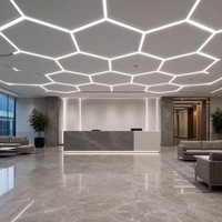 Lumière de travail LED hexagonale en aluminium pour hall d'accueil, zone d'attente, 6000K CRI 90