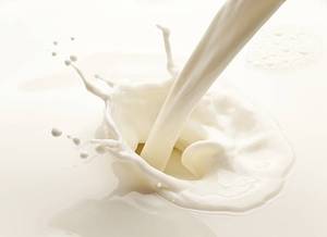 Leche Fluida Pasteurizada, Producto Lácteo Fresco de Primera Calidad para Venta al por Mayor y Exportación - Product Image 3