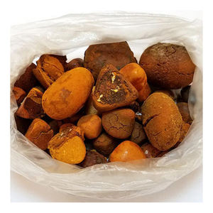 Available <b>Cheap</b> Natural and Pure Ox Gallstones Cattle Gallstones / Wholesale Ox Cow Cattle Gallstones - Product Image 4