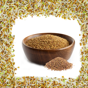 หญ้าชนิต | อาหารสัตว์สีเขียวที่ต้องการอย่างกว้างขวางสำหรับปศุสัตว์ - Product Image 2