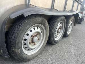 Remolque para Ganado de Tres Ejes 2026 de 14 pies (Remolque para Ganado Vacuno/Ovino 4x4) - Product Image 5