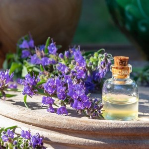 Huile Essentielle d'Hysope en Gros OEM, Distillée à la Vapeur, pour l'Aromathérapie, les Soins de la Peau, les Massages, les Diffuseurs et la Fabrication de Savons - Product Image 2