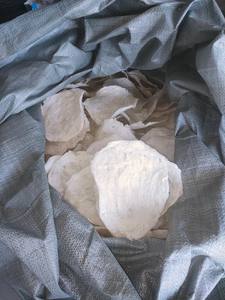 ตีนปลาแห้ง-อาหารทะเลคุณภาพสูงจากเวียดนามสำหรับทำอาหารปลาต้มซุปที่ดีที่สุดสำหรับผิวของผู้หญิง2024 - Product Image 5