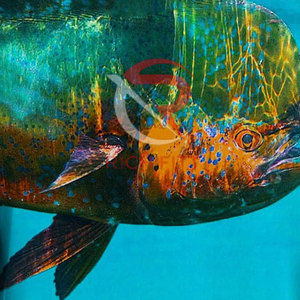 T-shirt de pêche en matériau durable, logo personnalisé imprimé, manches longues, longueur personnalisée, fabricant pakistanais - Product Image 3