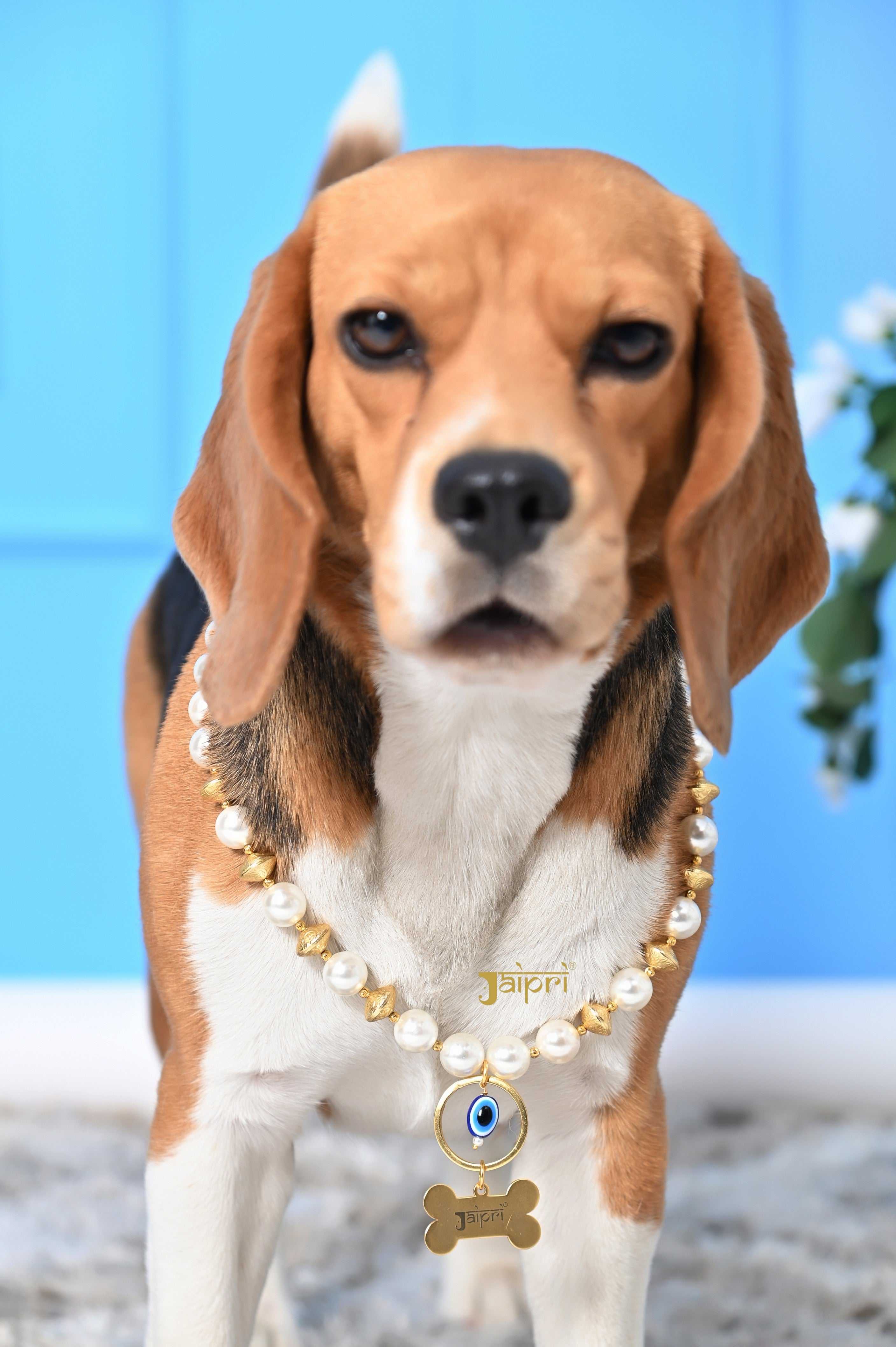 เช่นเดียวกับในภาพ