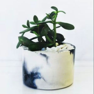 Macetero de Mármol Premium de Nueva Llegada, Diseñado para Exhibir Plantas con Estilo en Salas de Estar, Balcones y Jardines, Acabado Duradero - Product Image 1