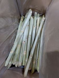 CANNE À SUCRE CONGELÉE PREMIUM/NON-GMO/PRÊT À MÂCHER/ORIGINE DU VIETNAM - Product Image 2
