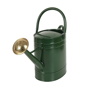 Regadera con caño de Metal elegante, herramientas de jardín al aire libre para jardinería, lata de Metal para servir agua - Product Image 4