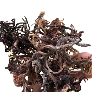 HIGH QUALITY DRIED EUCHEUMA COTTONII / WILDCRAFT PURPLE SEAWEED FROM VIET NAM - Ms. Jennie