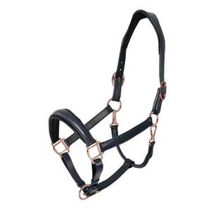 Silla de Montar Inglesa de Cuero Marrón de Alta Calidad con Herrajes de Latón y Fuelle de Madera para Caballo - Ajuste Cómodo - Product Image 1