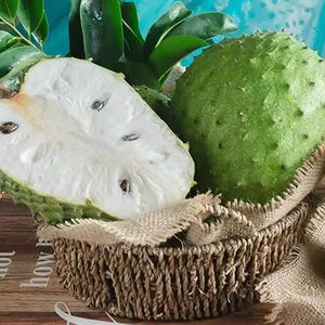 Guanábana congelada de alta calidad | 100% Fruta congelada fresca | El mejor precio al por mayor Guanábana congelada de Vietnam - Product Image 1