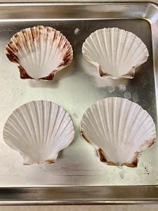 COQUILLES DE PÉTALÈQUES CRUS DE HAUTE QUALITÉ POUR LA CUISSON ET LE GRILLAGE DU VIETNAM - Product Image 5