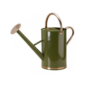 Nouveau Design eau peut poudre enduit finition noir arrosoir métal fer stockage de l'eau canne pour décor extérieur plante verte gard - Product Image 3