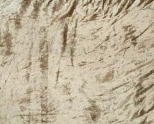 สีดำสีกากี