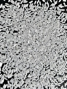 ข้าวหอมมะลิจากเวียดนามผลิตภัณฑ์ผลิตจากโรงงานผลิตในภาคใต้ของแม่น้ำโขงมิลเลอร์ - Product Image 2