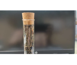 Tube en verre borosilicate cylindrique avec bouchon en liège, différentes tailles de 16x150 à 40x200, récipient de stockage de laboratoire - Product Image 3