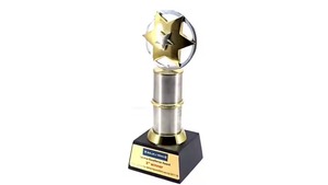 Premio al diseñador del trofeo estrella corporativa más vendido por reconocer a los mejores triunfadores y los hitos de los empleados Precio de exportación disponible - Product Image 2