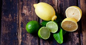 Vente en gros qualité supérieure Origine naturelle Bon prix du Viet Nam Prêt à expédier Citron vert frais sans pépins - Product Image 5