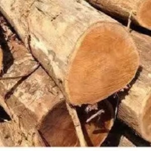 Exportadores de palisandro negro hecho a mano - Product Image 5