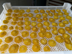 Dried Pineapple <b>Chewy</b> Sliced Tropical Snack for Export from Vietnam Standard Processing and Packaging Dried Pineapple Factory - Product Image 6