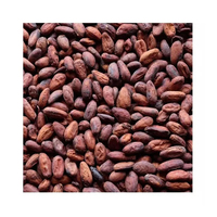 Fèves de cacao 100% naturelles de qualité supérieure, traitées à la hollandaise, origine Brésil, grade A, 10 kg - Vente en gros à prix avantageux