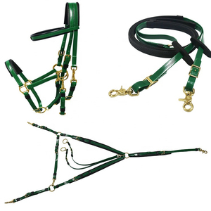 Brida de caballo ecuestre de lujo Logotipo personalizado Tamaño Transpirable Charol Top Fabricante mayorista indio - Product Image 5