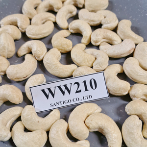 WW210เม็ดมะม่วงหิมพานต์จากแนวซันติโก - Product Image 1
