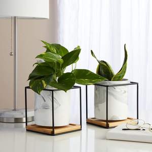 กระถางต้นไม้เคลือบทองรูปทรงเรียบง่ายกระถางต้นไม้โลหะใหม่สำหรับตกแต่งสวนเคลือบทอง - Product Image 3