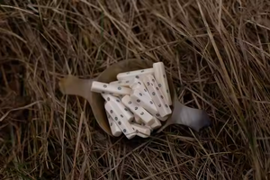 ลูกเต๋ากระดูกคุณภาพสูงสำหรับนักเล่นเกมที่กระตือรือร้นโดยงานฝีมือเสี้ยว - Product Image 3