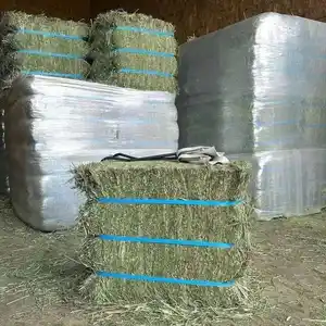 หญ้าอัลฟัลฟาหญ้าแห้งทิโมธีอัลฟาฟาหญ้าแห้ง/หญ้าแห้งสำหรับให้อาหารสัตว์สีเขียวพรีเมี่ยม