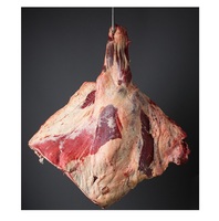 Daging Sapi Beku Segar Alami Daging Sapi Beku Bagian Depan