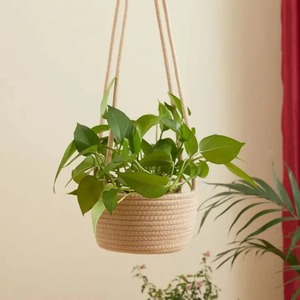 Brown Macrame <b>Hanging</b> <b>Basket</b> Planter Versatile Decorative Plant Holder for Living Room Bedroom Kitchen and Outdoor Use - Product Image 5