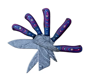 Steel Craft International-Ensembles de couteaux de chef en acier damas forgés à la main personnalisés, couteau de coupe de fruits quotidien, ensemble de couteaux de chef américains - Product Image 4