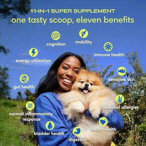OEM/ODM Liquide Cognitif DHA Biologique à base de Champignon <span class=keywords><strong>Crinière</strong></span> de Lion pour le Soutien du Cerveau et du Système Nerveux 240g pour Chiens et Chats Riche en Protéines - Product Image 2
