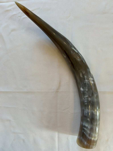 Cuernos de ganado pulidos de primera calidad Cuerno de vaca natural Decoración y cuernos para beber Cuernos gigantes auténticos - Product Image 4