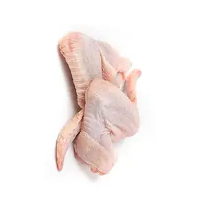 USA Standard Quality 8800 Ton Frozen Chicken Wings For Sale In Cheap Price Wholesale Frozen Chicken Wings