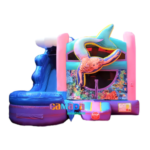 Castillo hinchable de PVC comercial para saltar, casa hinchable, castillo hinchable para saltar para niños - Product Image 2