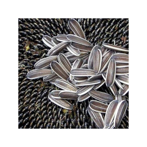 Semillas de girasol a la venta, precio bajo, suministro a granel, venta al por mayor, calidad premium - Product Image 2