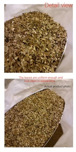 1000g de <span class=keywords><strong>Yerba</strong></span> <span class=keywords><strong>Mate</strong></span> en hojas sueltas, con tallos, envase grande - Product Image 4