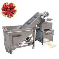 Automatische sinaasappelpers zonder schillen, sapmachine, passievruchtenpulp-extractor, pulpmachine