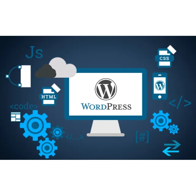 E-ticaret Web sitesi tasarımı B2B Wordpress Web tasarımı B2C Web sitesi Online Marketplace SSL sertifikalı Web sitesi hizmeti