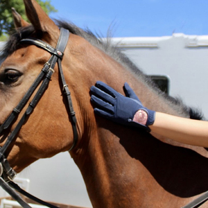 Guantes ecuestres de invierno directos de fábrica, fabricante de Pakistán, pantalla táctil de alta calidad, guante de equitación antideslizante marrón para adultos - Product Image 4