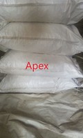 Biji Moringa Biji Moringa Oleifera Pemasok Produsen Apex International Dari Rajasthan dengan Umur Simpan 24 Bulan