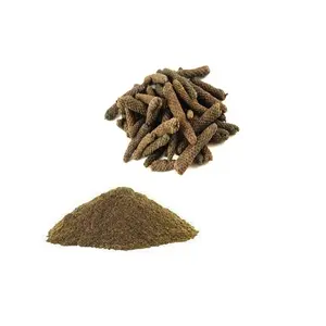 Direct Factory Supply Single Spices and Herbs Piper Longum Long Pepper Powder Available at Bulk Quantity