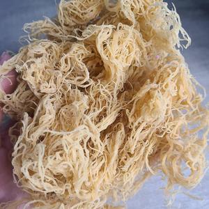 Musgo de mar sazonado recién seco | Fuente del océano de Vietnam | Embalado en bolsa de PP con cuidado - Product Image 2