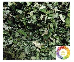 Feuilles de papaye séchées 100% Pure Natural Tea Cut Top Quality Vietnam Farm Feuilles de papaye séchées pour des bienfaits à base de plantes Papaye séchée - Product Image 3