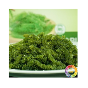 องข้อมูลจากหญ้าทะเลเกรดดีที่สุดสำหรับอุตสาหกรรมอาหารองุ่นแห้งจากทะเลขาดน้ำ99GD - Product Image 1